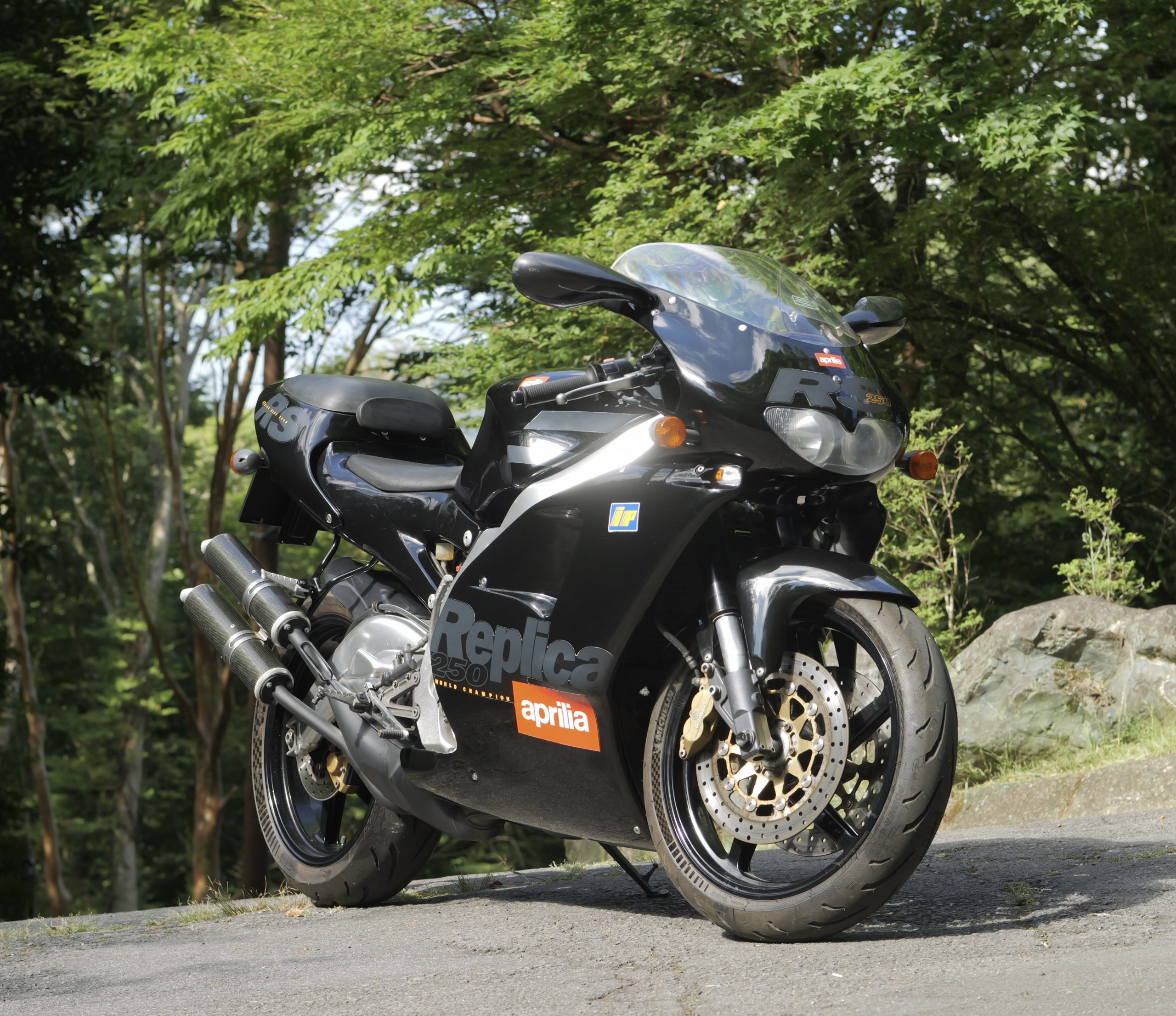 Aprilia RS250 前期 アプリリア RS250 前期 エンジン始動 ジェネリ チャンバーサウンド
