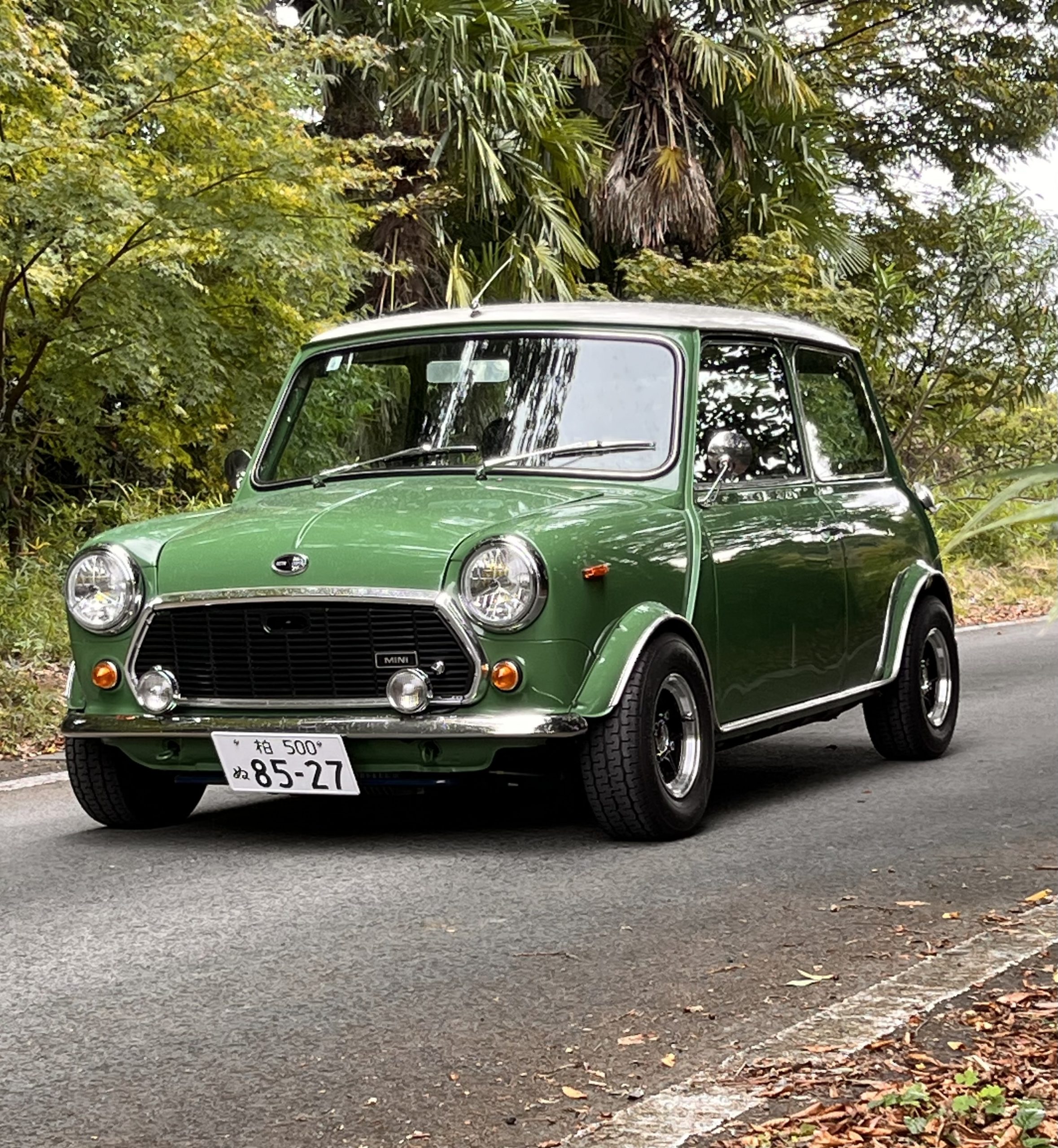 1991 Mini Cooper 1300 special | AdamsGarage - SODO-MOTO